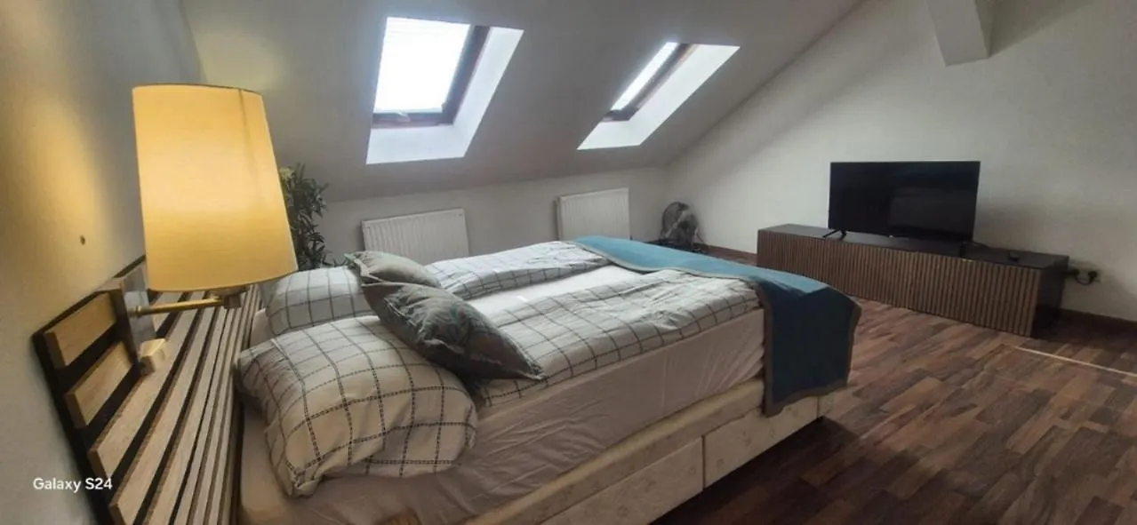 Spacious 3Br Shared Apt, Very Central In Vienna