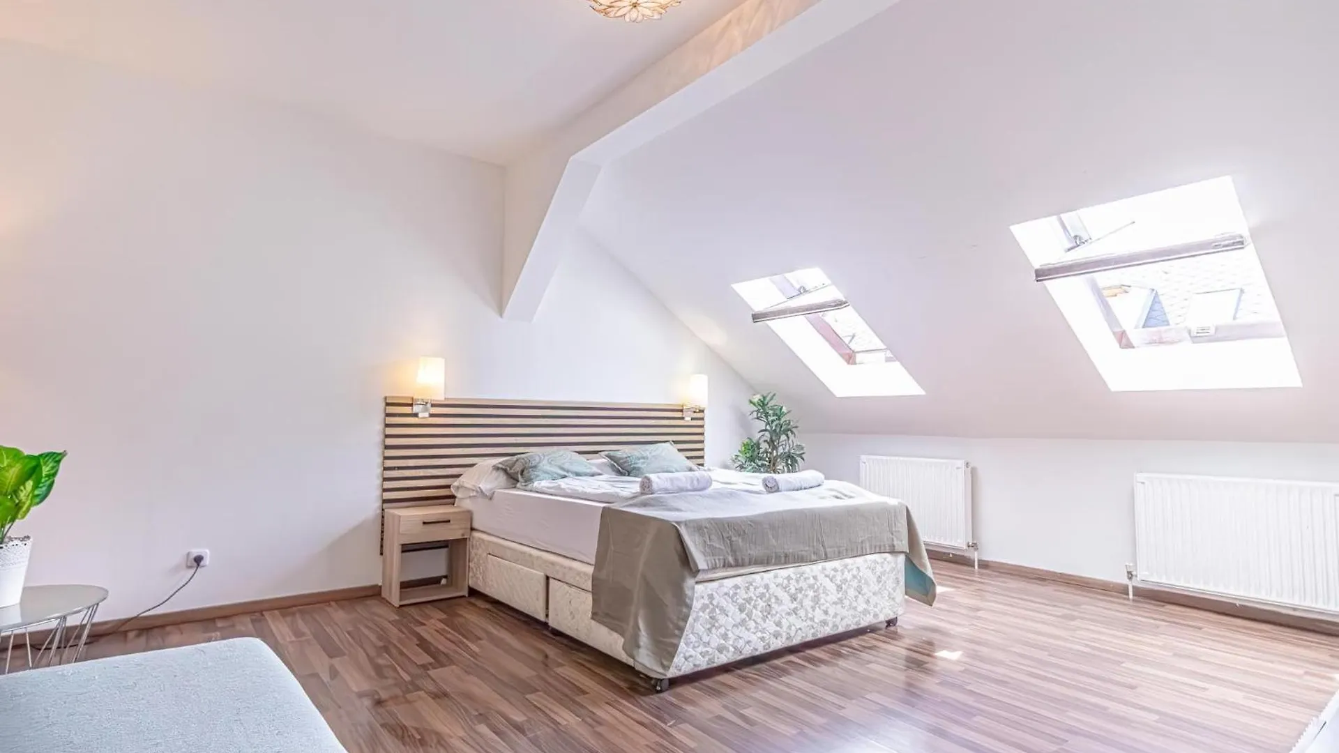 Spacious 3Br Shared Apt, Very Central In Vienna