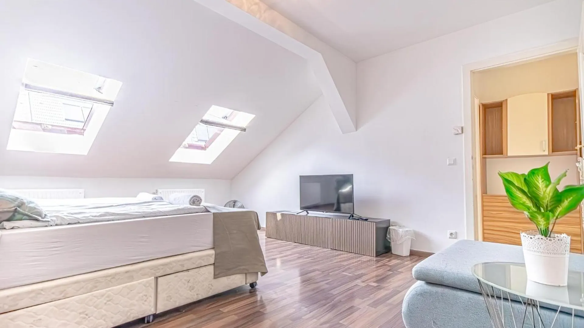 Spacious 3Br Shared Apt, Very Central In Vienna